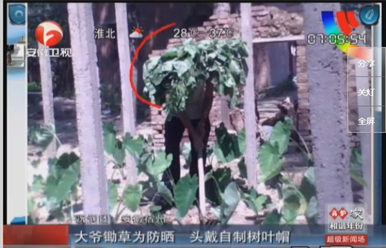 農民防曬有絕招，就地取材，頭戴樹葉自制帽子