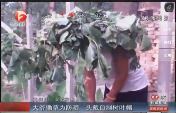 農民防曬有絕招，就地取材，頭戴樹葉自制帽子